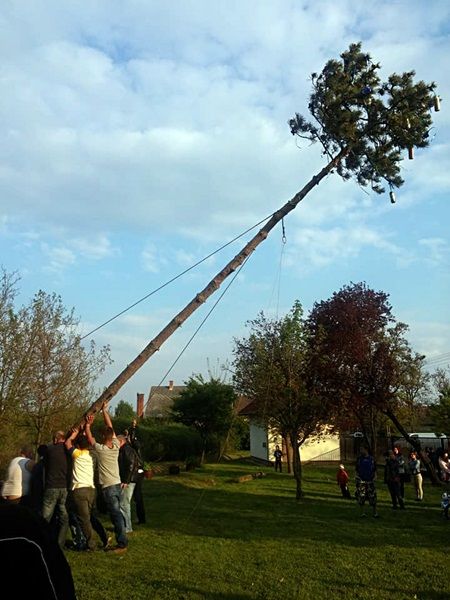 vilonya_3.jpg